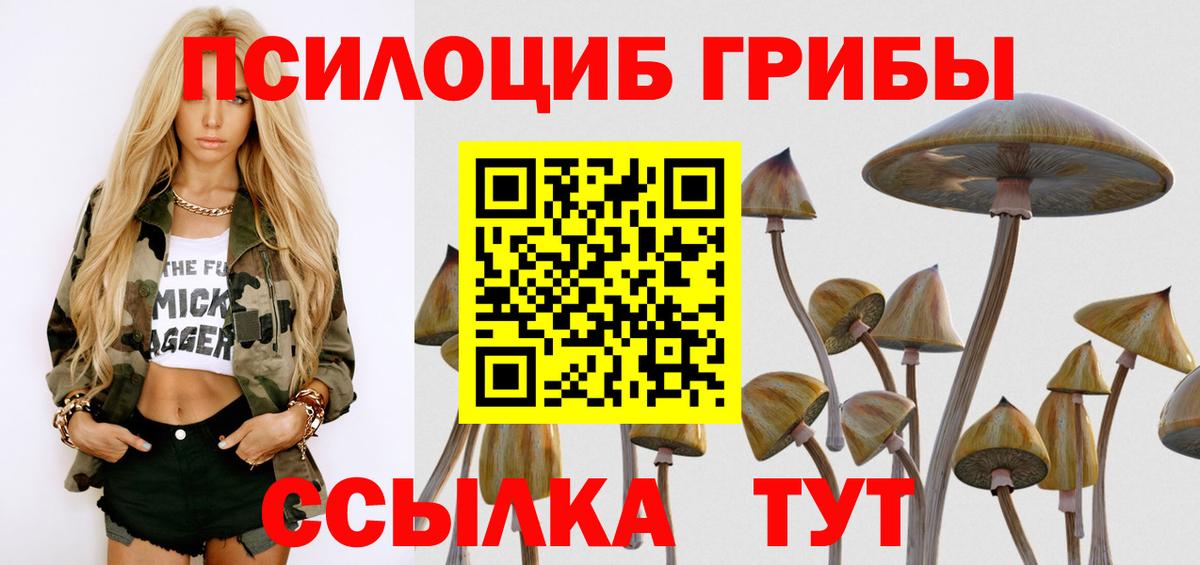 Курган  Галлюциногенные грибы мухоморы  Вход с VPN 